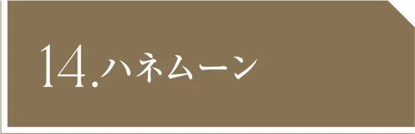 14 ハネムーン