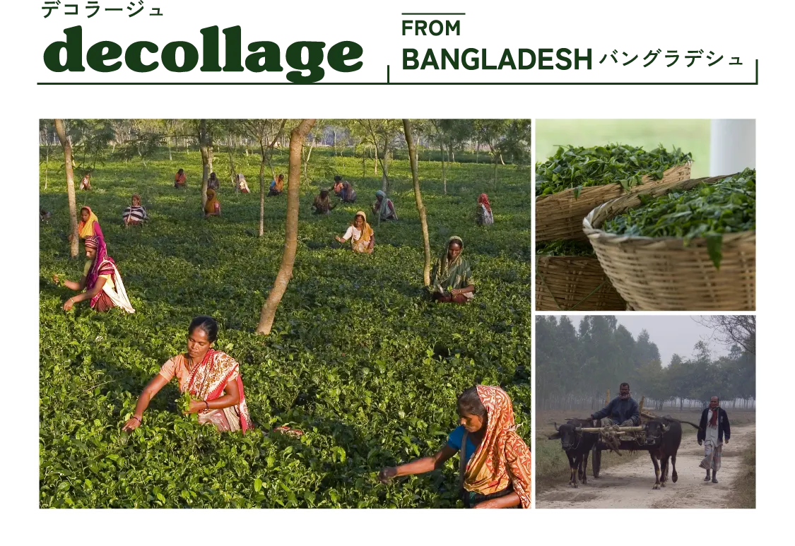 デコラージュ BANGLADESH