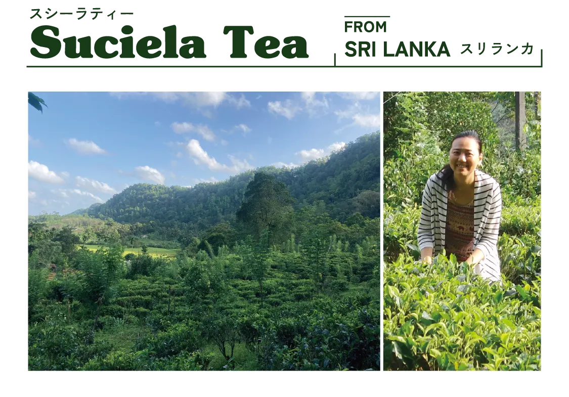 SRI LANKA Suciela Tea