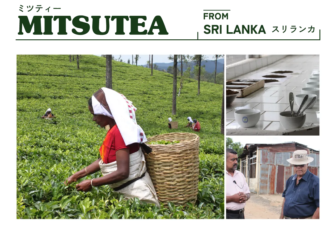 SRI LANKA MITSUTEA