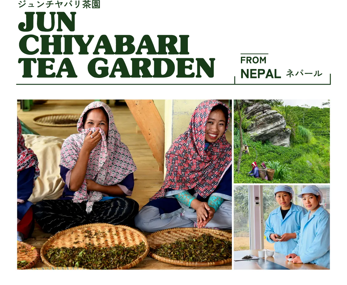 NEPAL JUN CHIYABARI TEA GARDEN