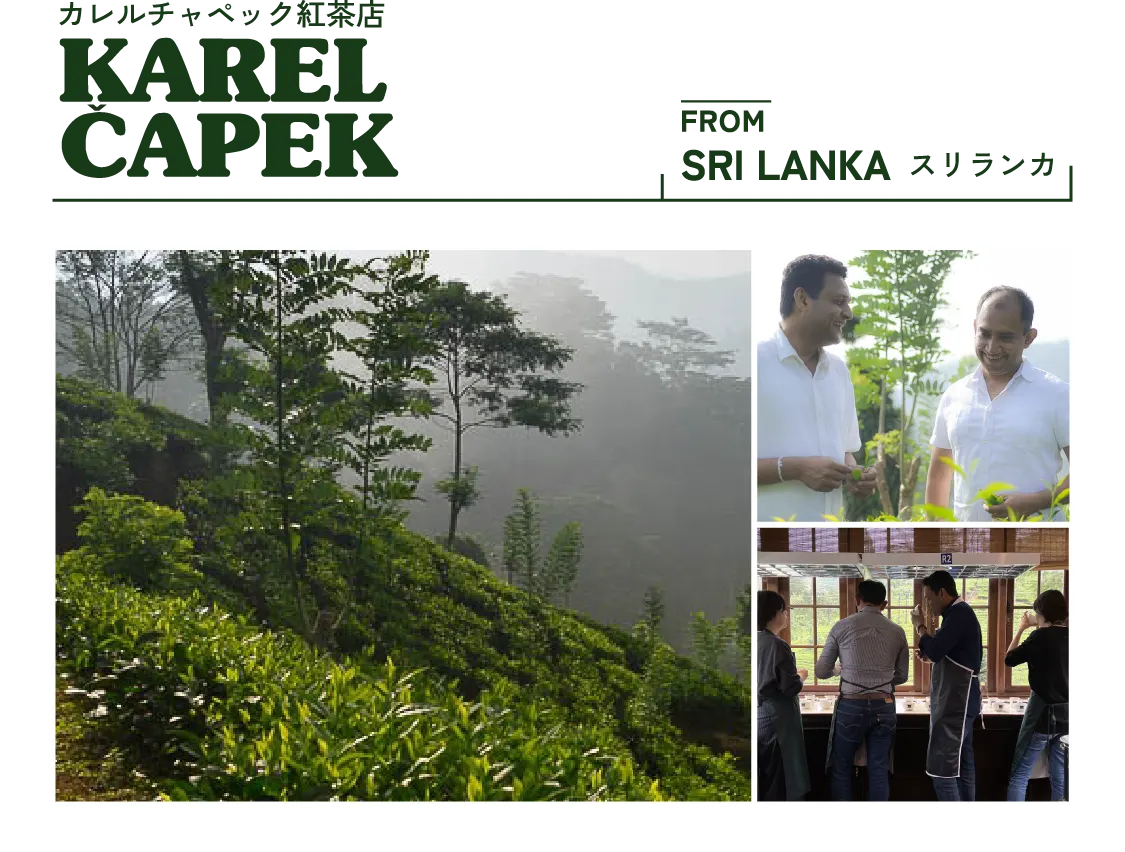 SRI LANKA カレルチャペック紅茶店