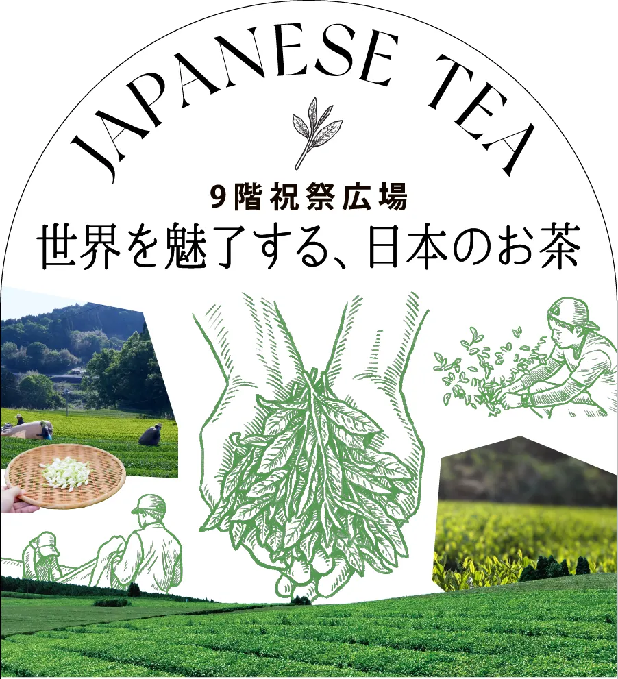 JAPANESE TEA 9階祝祭広場 世界を魅了する、日本のお茶