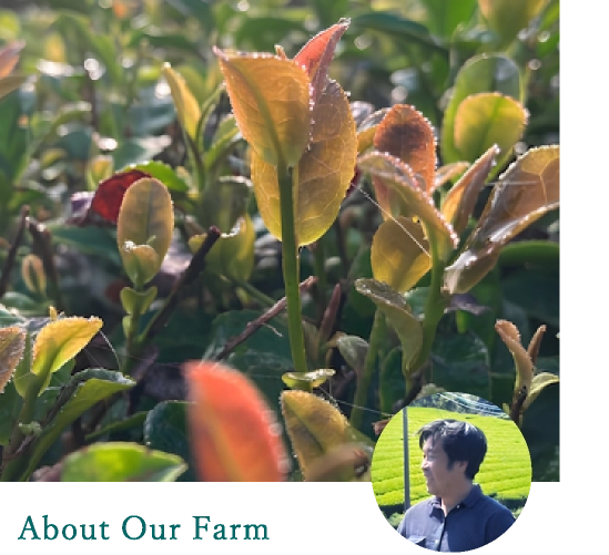 About Our Farm