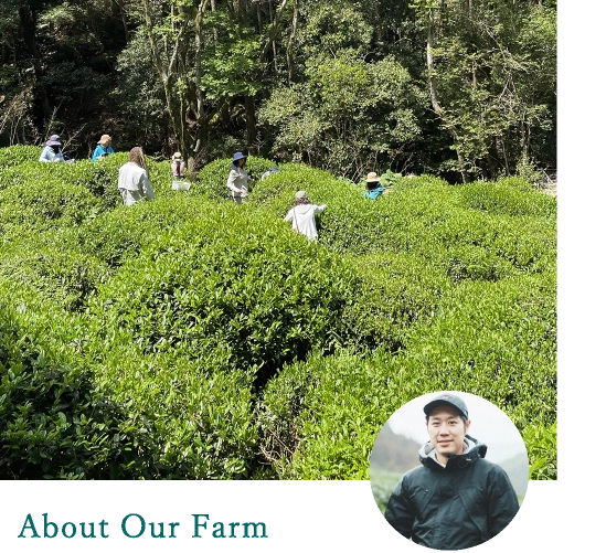 About Our Farm