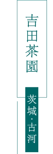 吉田茶園