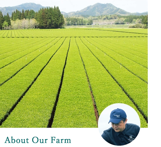 About Our Farm