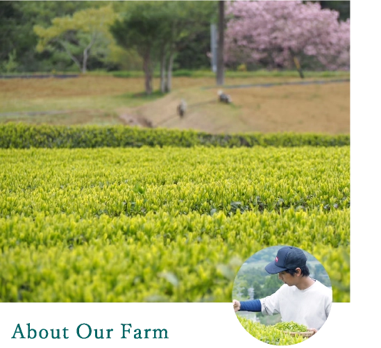 About Our Farm