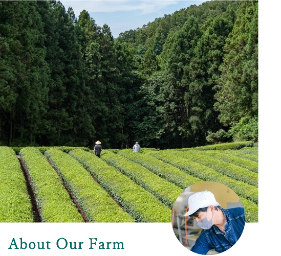 About Our Farm