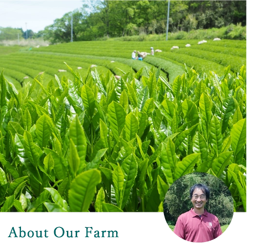 About Our Farm