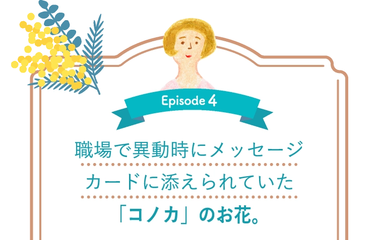 職場で異動時にメッセージカードに添えられていた「コノカ」のお花。