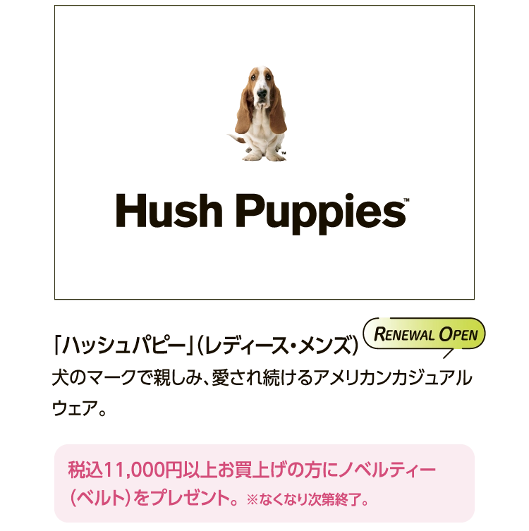 「ハッシュパピー」（レディース・メンズ）
						犬のマークで親しみ、愛され続けるアメリカンカジュアルウェア。
