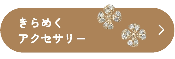 きらめくアクセサリー