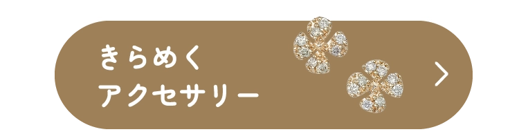 きらめくアクセサリー