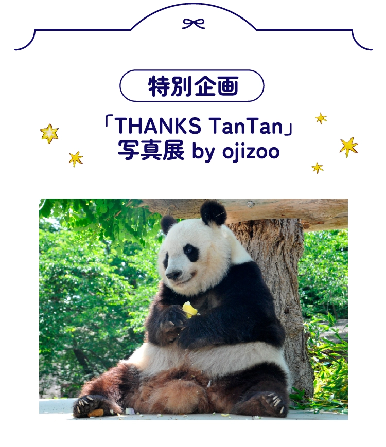 「THANKS TanTan」写真展 by ojizoo