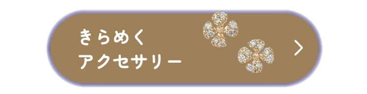 きらめくアクセサリー