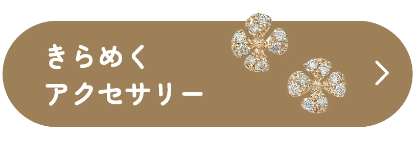 きらめくアクセサリー