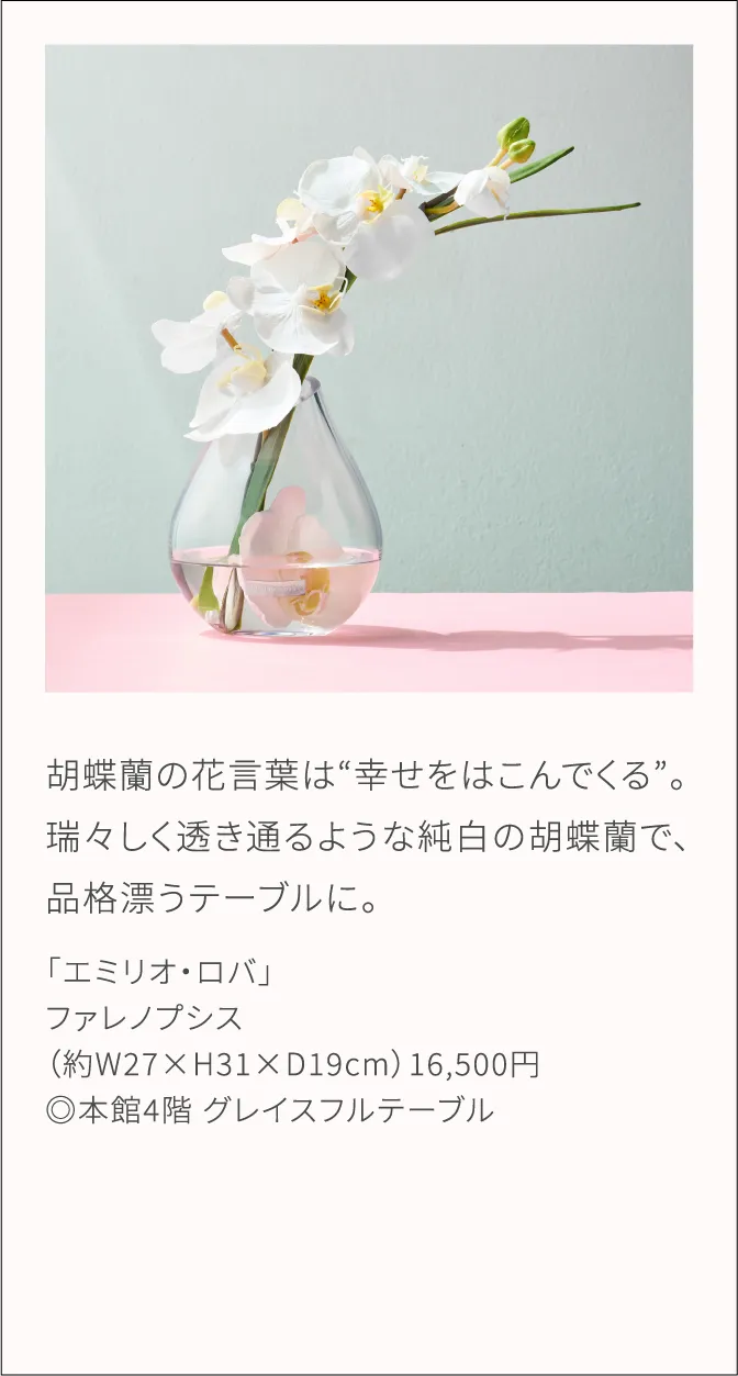 胡蝶蘭の花言葉は“幸せをはこんでくる”。瑞々しく透き通るような純白の胡蝶蘭で、品格漂うテーブルに。