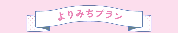 よりみちプラン