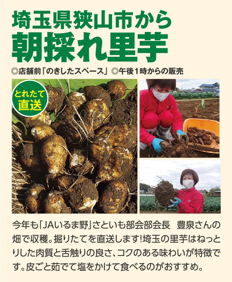 埼玉県狭山市から朝採れ里芋