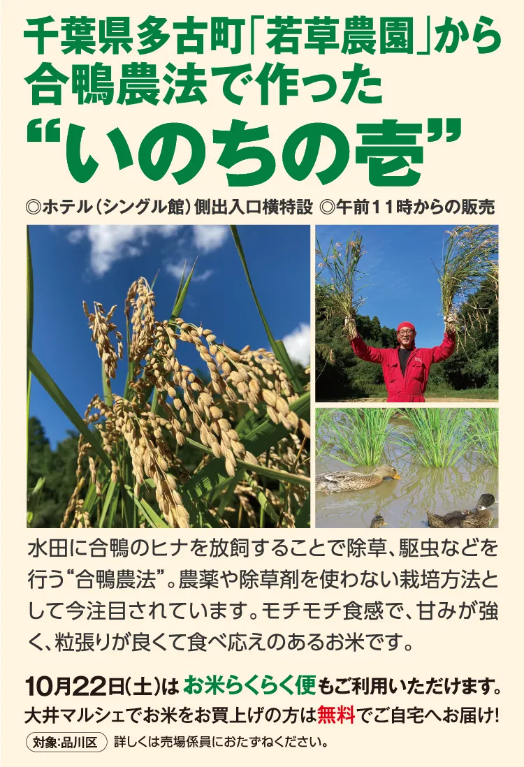 千葉県多古町「若草農園」から合鴨農法で作った“いのちの壱”