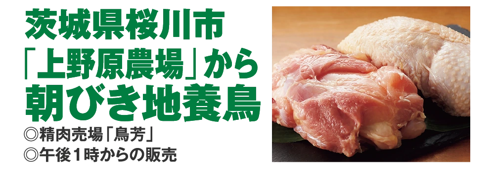 茨城県桜川市
					「上野原農場」から
					朝びき地養鳥