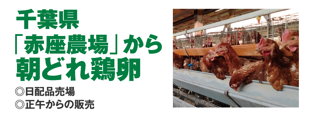 千葉県
					「赤座農場」から
					朝どれ鶏卵
