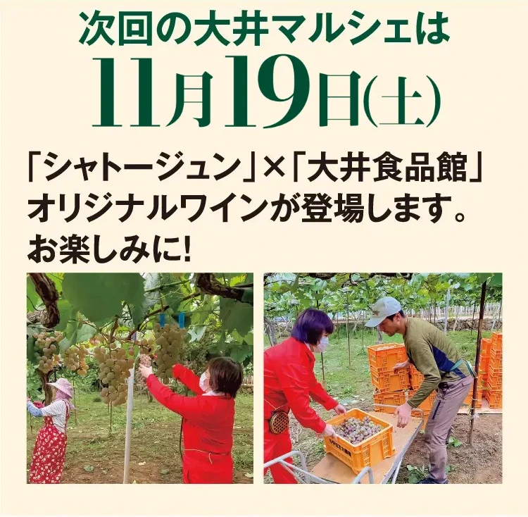 予告次回の大井マルシェは11月26日（土）