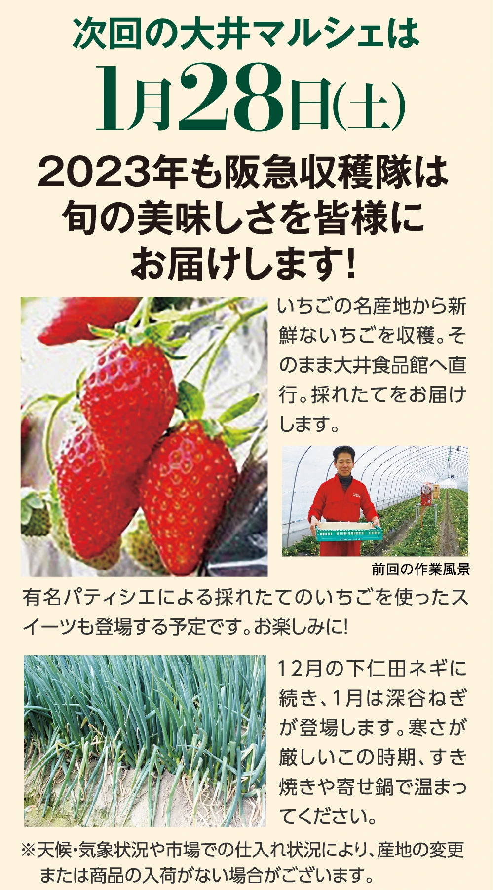 次回の大井マルシェは1月28日（土）