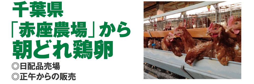 千葉県
					「赤座農場」から
					朝どれ鶏卵