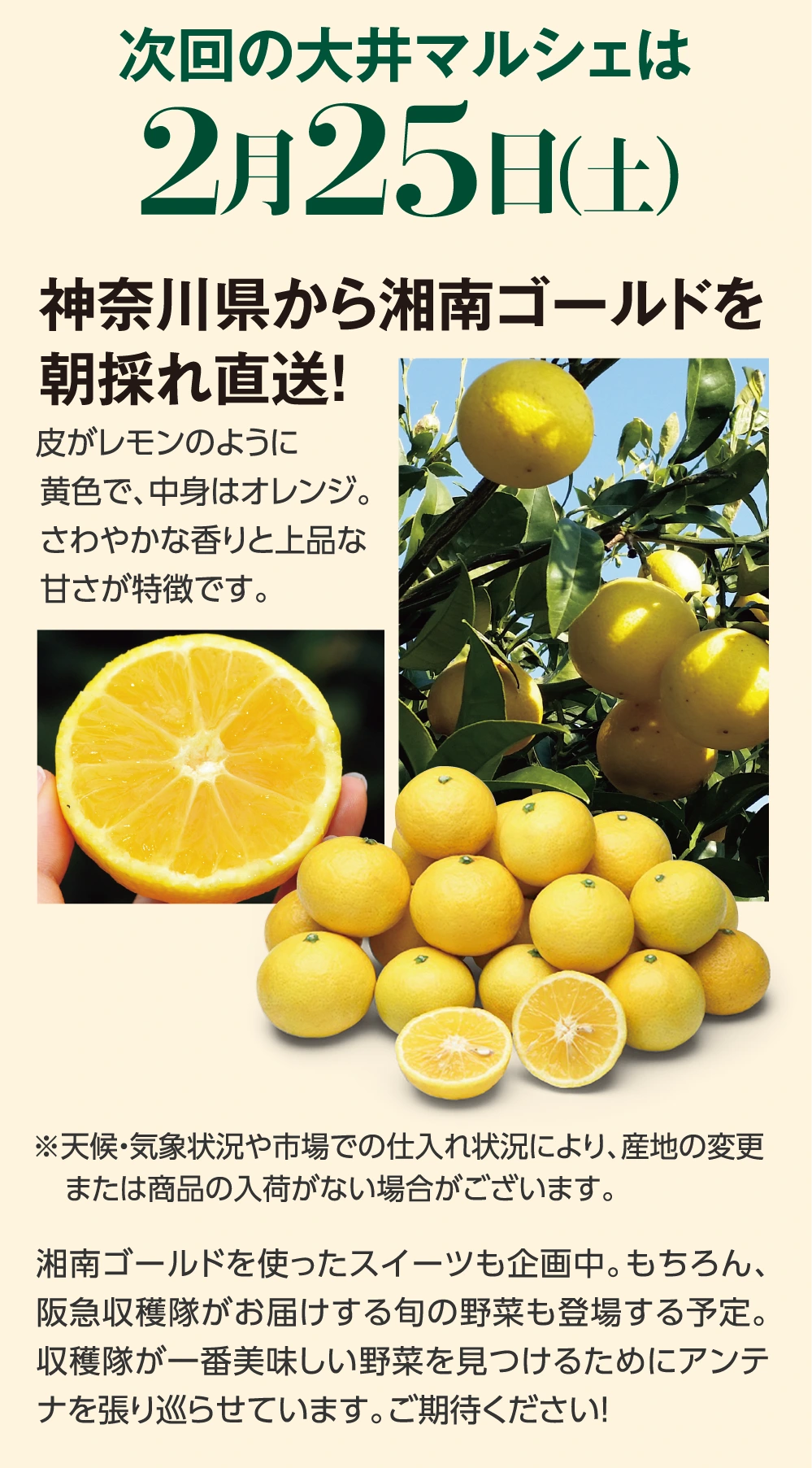 次回の大井マルシェは2月25日（土）