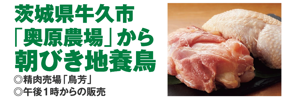 茨城県牛久市
					「奥原農場」から
					朝びき地養鳥