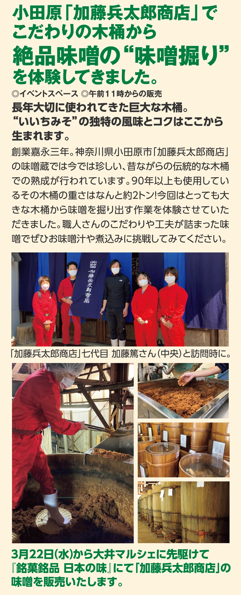 小田原「加藤兵太郎商店」で
					こだわりの木桶から
					絶品味噌の“味噌掘り”
					を体験してきました。
					