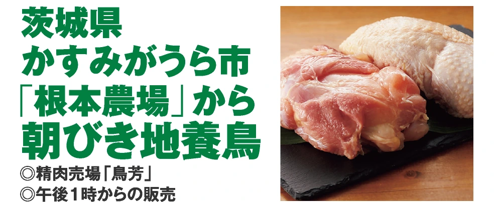 茨城県
				かすみがうら市
				「根本農場」から
				朝びき地養鳥