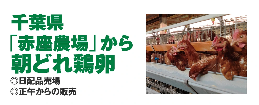 千葉県
				「赤座農場」から
				朝どれ鶏卵