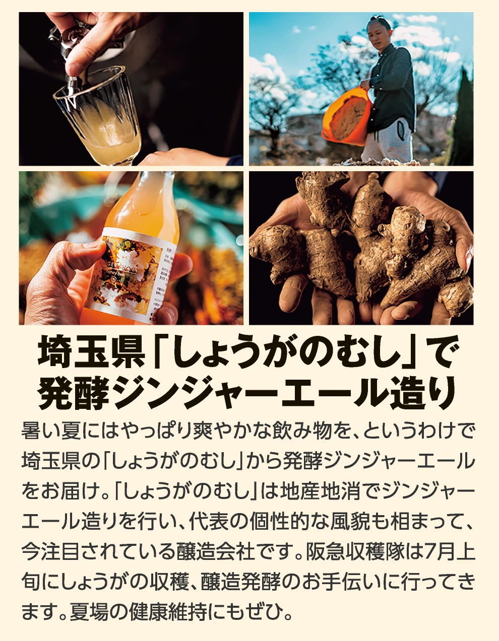 埼玉県「しょうがのむし」で
					発酵ジンジャーエール造り