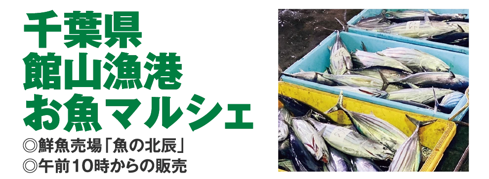 千葉県
				館山漁港
				お魚マルシェ