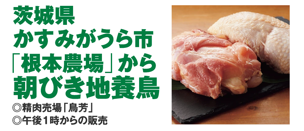 茨城県
					かすみがうら市
					「根本農場」から
					朝びき地養鳥