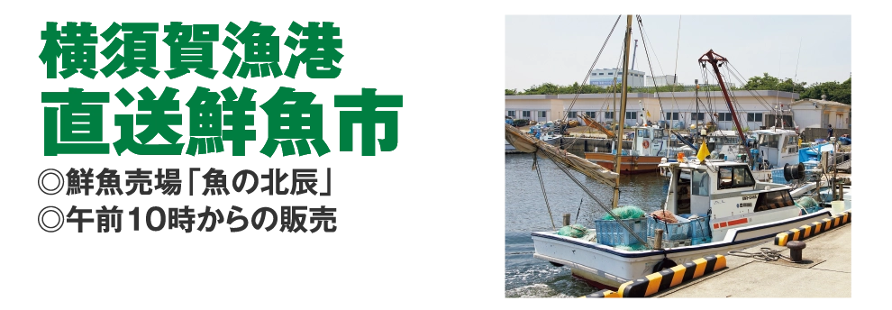 横須賀漁港
				直送鮮魚市