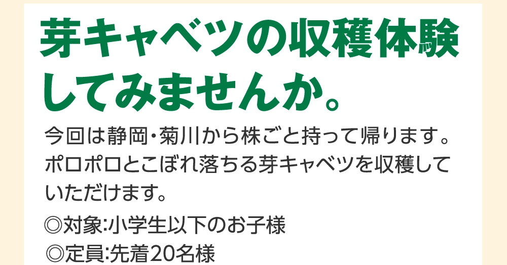 芽キャベツの収穫体験
				してみませんか。