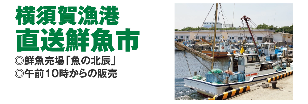 横須賀漁港
				直送鮮魚市