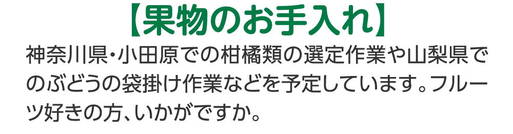 【果物のお手入れ】