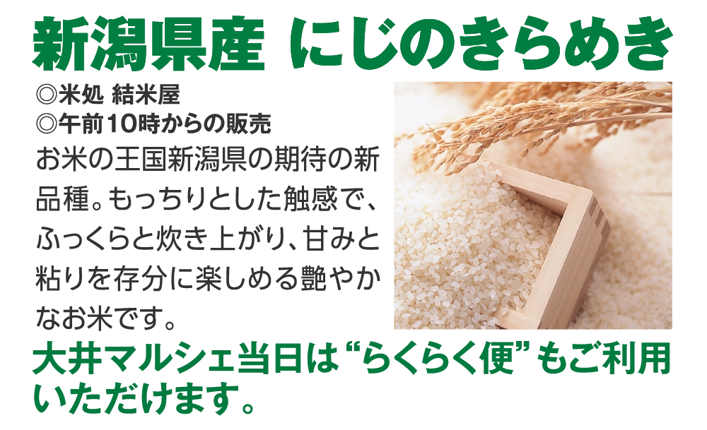 新潟県産 にじのきらめき