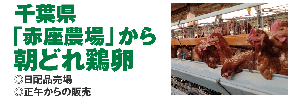 千葉県
				「赤座農場」から
				朝どれ鶏卵