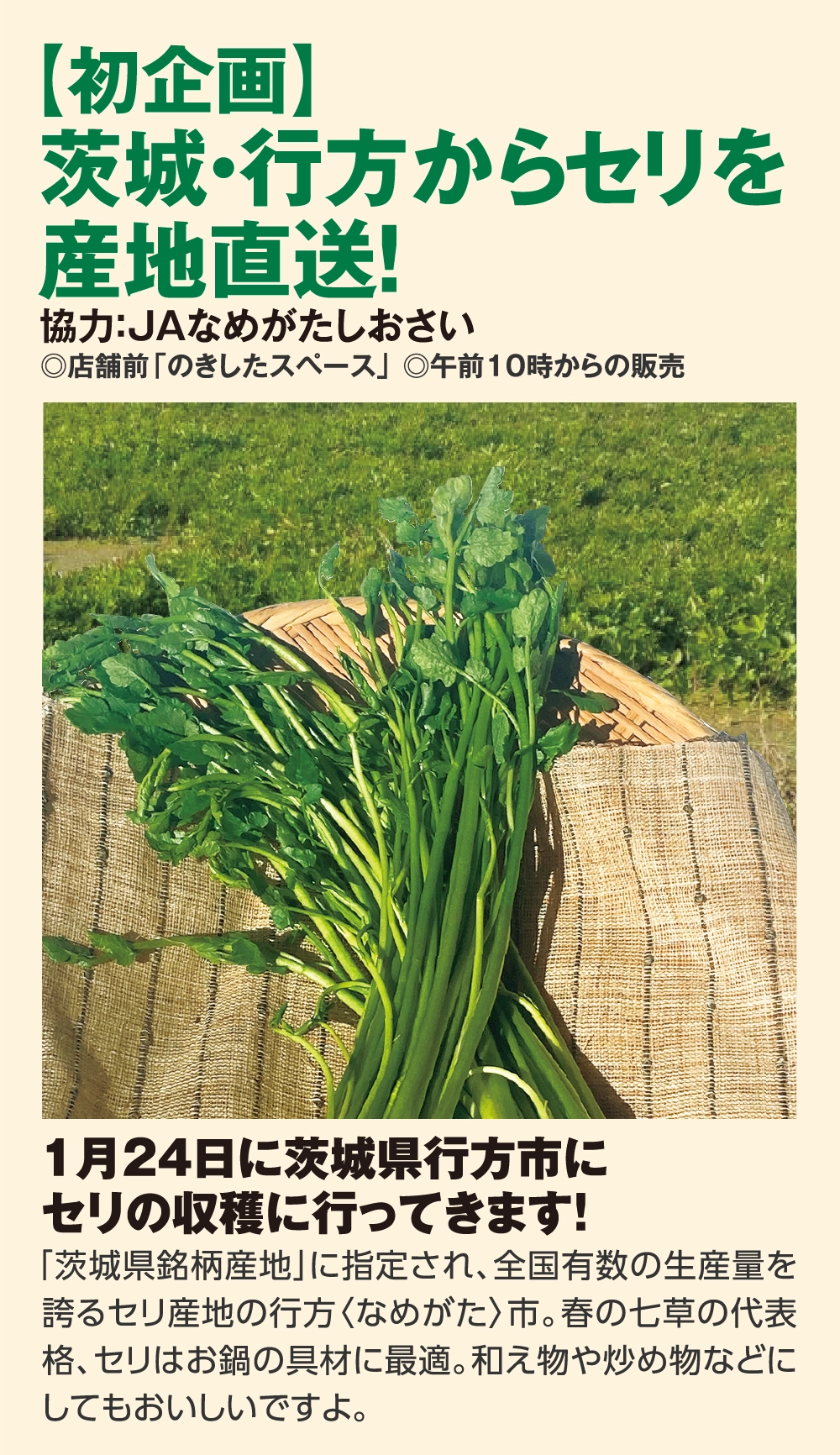 【初企画】
				茨城・行方からセリを
				産地直送！