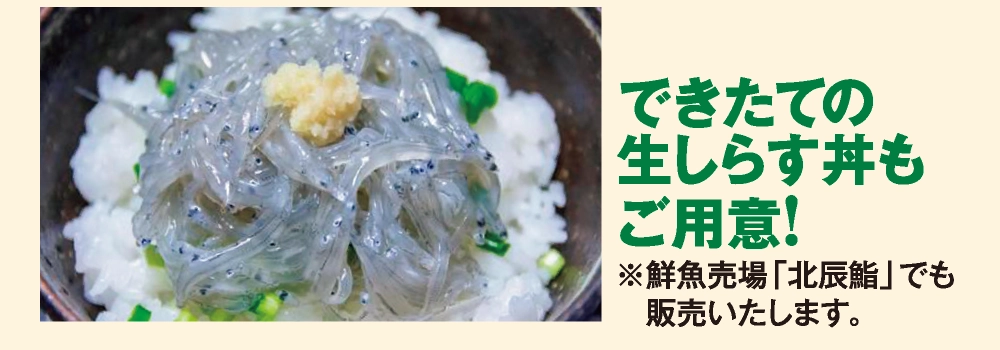 できたての
				生しらす丼も
				ご用意!