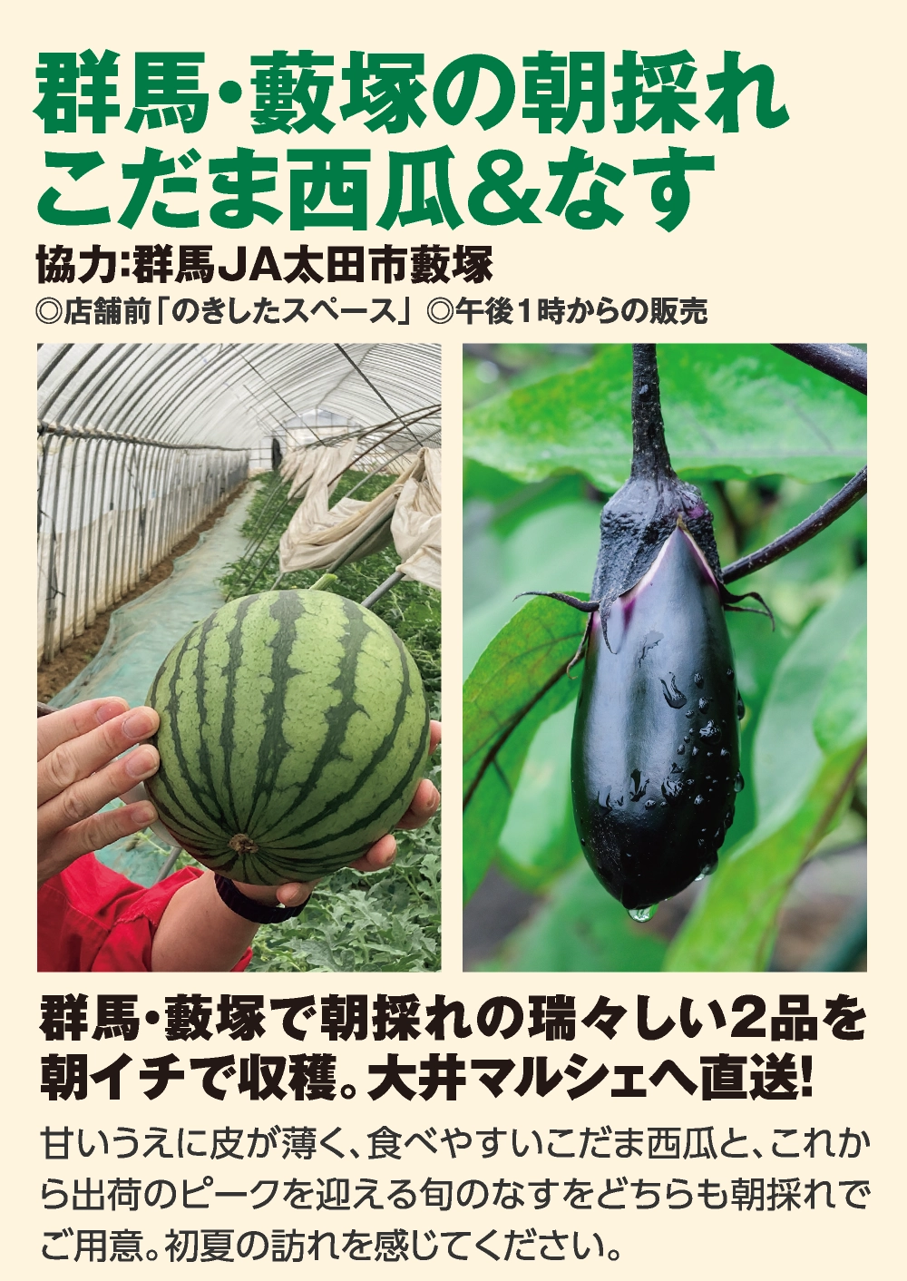 群馬・藪塚の朝採れ
				こだま西瓜&なす
				