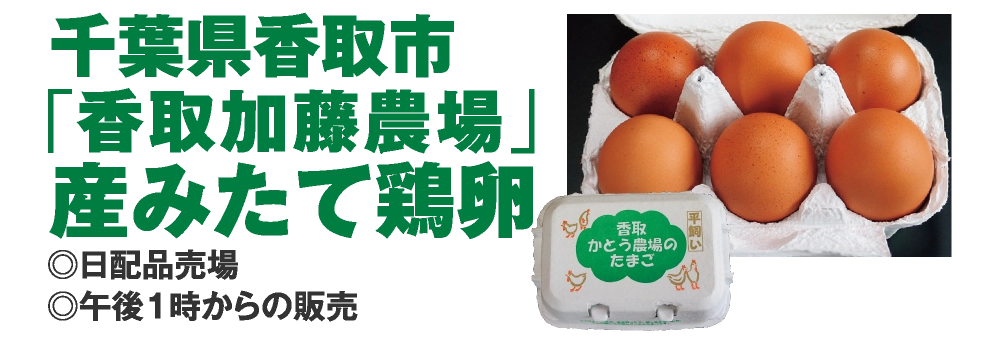 千葉県香取市
				「香取加藤農場」
				産みたて鶏卵