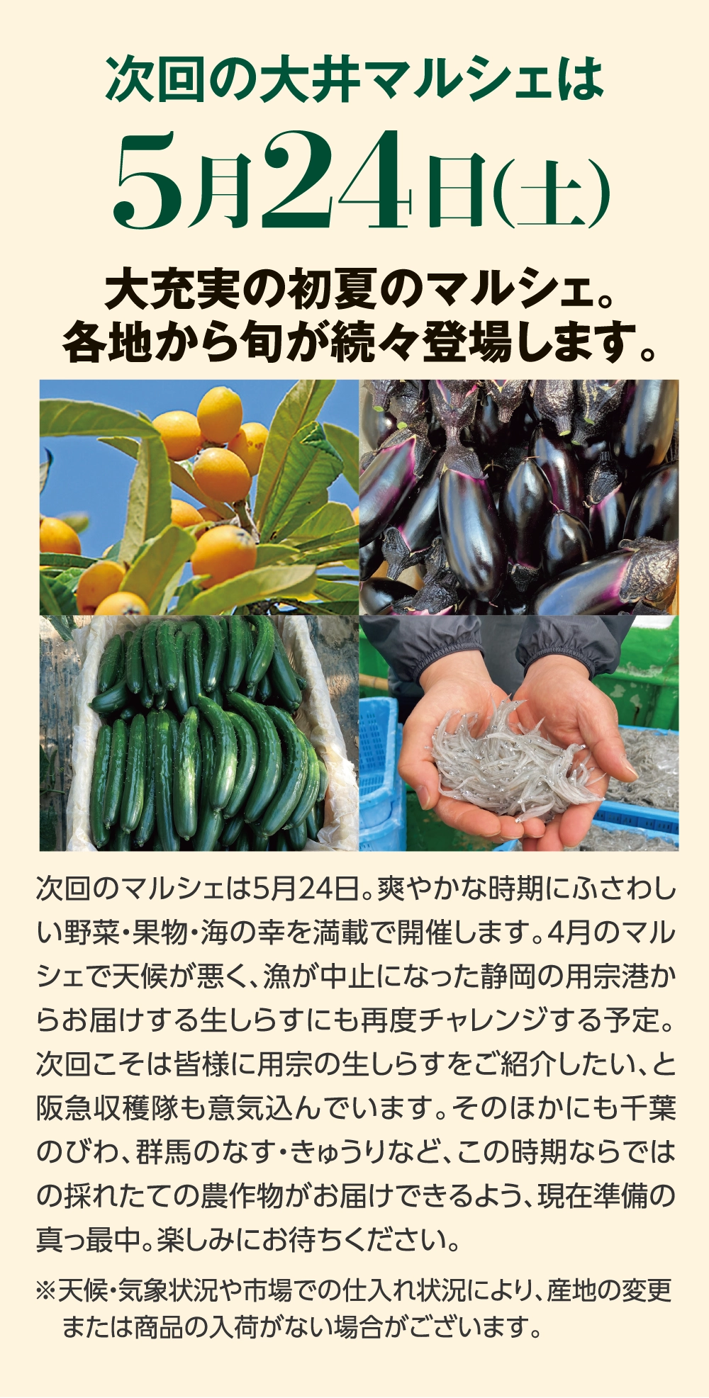 次回のマルシェは５月２４日。爽やかな時期にふさわしい野菜・果物・海の幸を満載で開催する予定です。ラインアップの目玉はなんといっても静岡・由比の生桜えび。“桜えびのまち”から獲れたてを直送します。近年は天候に恵まれず残念な結果が続きましたが、今年こそは皆様にたっぷりと新鮮な桜えびをお届けできれば、と願っています。そのほかにも千葉のびわ、群馬のなす・きゅうりなど、この時期ならではの採れたての農作物がお届けできるよう、現在準備の真っ最中。楽しみにお待ちください。