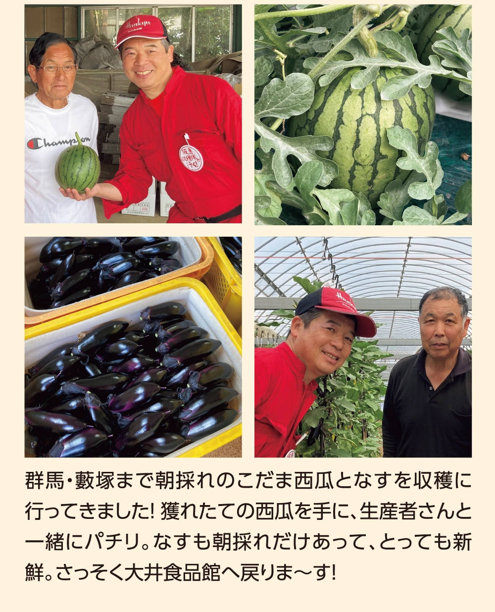 群馬・藪塚まで朝採れのこだま西瓜となすを収穫に行ってきました！ 獲れたての西瓜を手に、生産者さんと一緒にパチリ。なすも朝採れだけあって、とっても新鮮。さっそく大井食品館へ戻りま〜す！